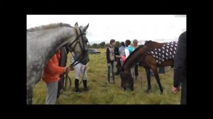 Урюпинск конноспортивный. После скачек.