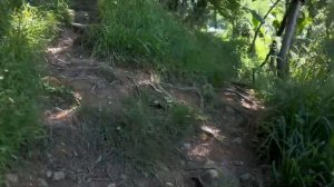 Купили дом в Грузии. Переехали три поколения.