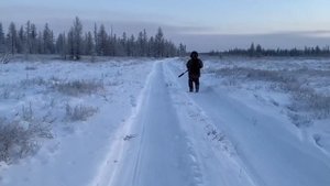 Охота (Разведка). Сходили зимой за грибами  #якутия #зима #охотаирыбалка #грибы #охота #олень