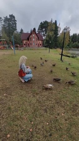 Милые уточки 🥰
#животные