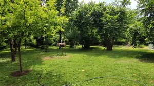 Закатала Лето (Цоралъул табигlат) с.Джар