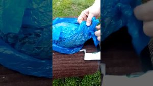 Распаковка черенков кизила.