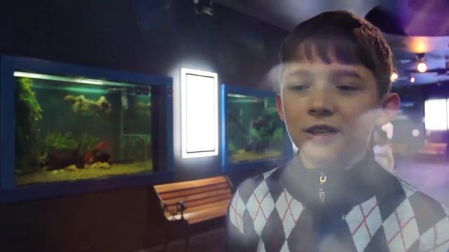 Поездка в г.Астана детей из Сандыктауского детского дома! смотреть онлайн