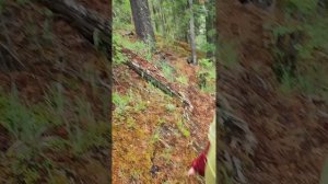 Дарашкёль, мы старались!|22 дня в походе по Алтаю 2023. День 8 и 9