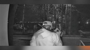 В Подольске мужчина застрелил женщину из самодельного ружья за шум во дворе: видео