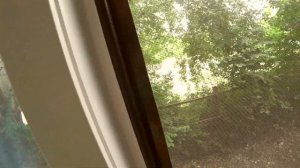 Серия вторая/Парк-отель Поляна п.Дивноморское