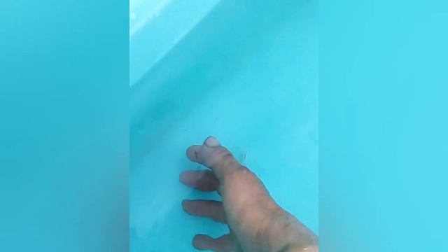 Прудик для карпов кои смотреть онлайн