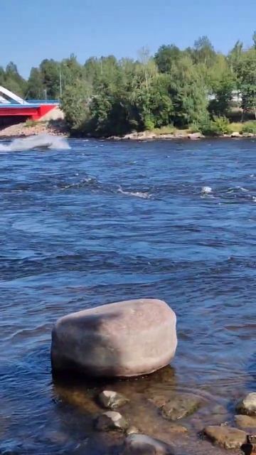 Развлечения на порогах в Лосево! Река Вуокса. #Shorts смотреть онлайн