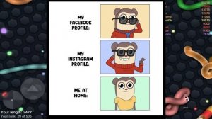 Max Design Pro - обзор и разоблачение