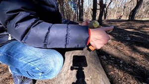 Новинка! Ganzo Firebird FH923  Режем!!!