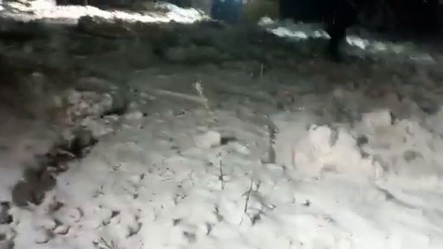 Скидер TigerCat подзавяз... Сила Сибири смотреть онлайн