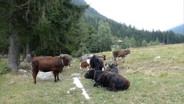 поход вокруг Монблана смотреть онлайн