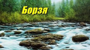 Борзя — река в Забайкальском крае