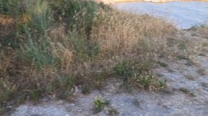 Отдых ДИКАРЯМИ с палаткой на Черном море. Отдых в Геленджике. Бесплатные места для отдыха с палатко