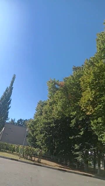 на територии санатория «Пушкино» смотреть онлайн