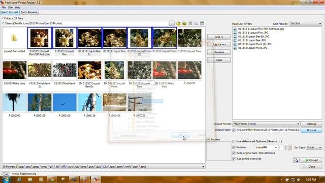 Faststone Resizer To Convert Images
