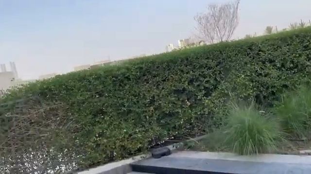 Обзор отеля Park Rotana 5* - Абу Даби смотреть онлайн