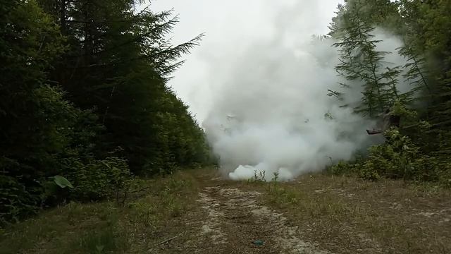 побег от медведя смотреть онлайн