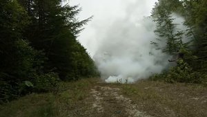 побег от медведя