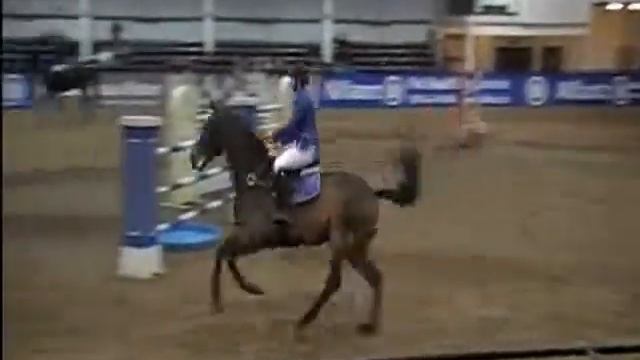 KEC Alligator Alley, Kill MiniGP2010.flv смотреть онлайн