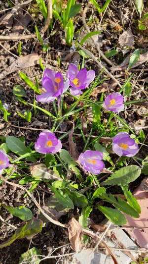 НОВЫЙ ДОМ в КАШИНО