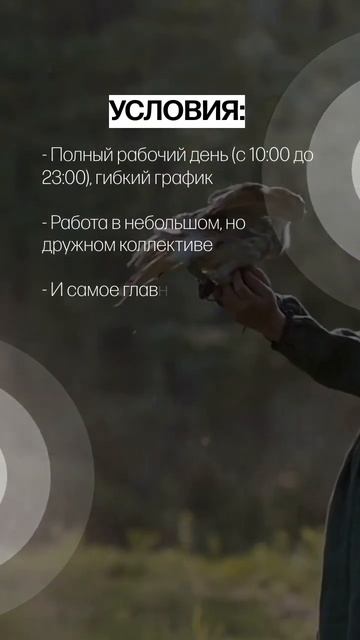 Вакансия Администратор в антикафе с животными. З/п 2100 руб/смена. смотреть онлайн