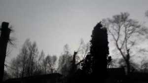 Очень сильный ветер! Я в деревне! Молния! Olga Pets