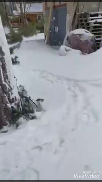 Дача. зима холода. смотреть онлайн