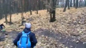 Мошны 31.10.2015