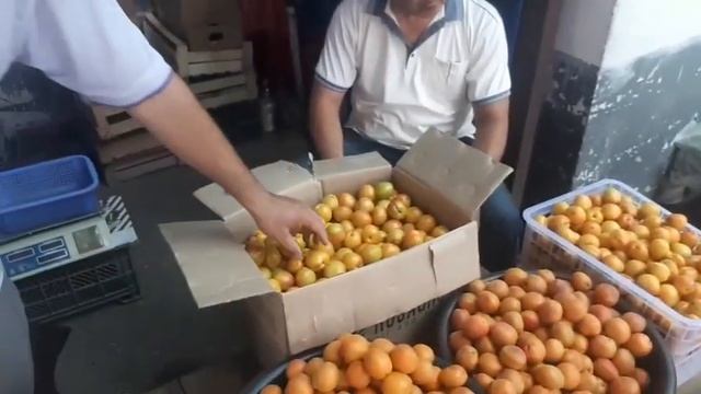 ДЕХКОН БОЗОРИ МАРГИЛОН смотреть онлайн