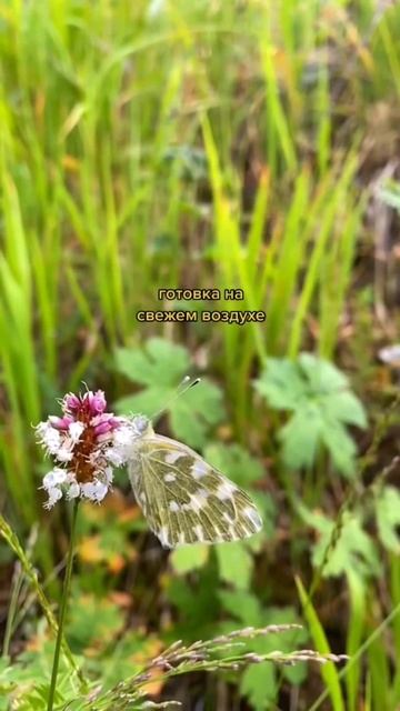 куда сходить на выходных в Алматы? 😍 идея для свидания смотреть онлайн