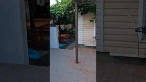 Пляхо август 2023 года,"У Петровича"