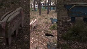 ДОЛ им.Дзержинского, п.Чернолучье, Омская область