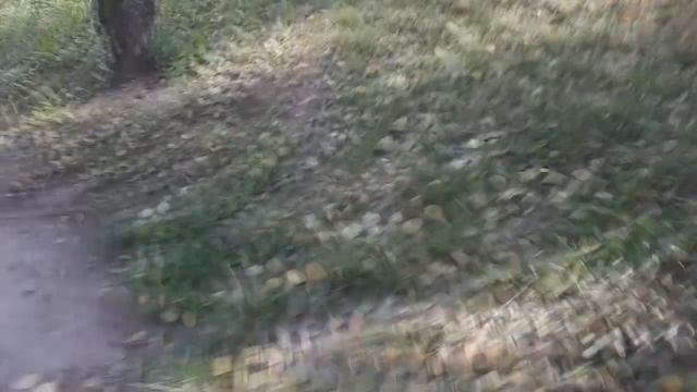 Яблочные хроники: бумир смотреть онлайн