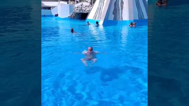 Купание в термальном бассейне у озера Панчерево в Софии смотреть онлайн