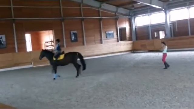 VLOG// Конюшня смотреть онлайн