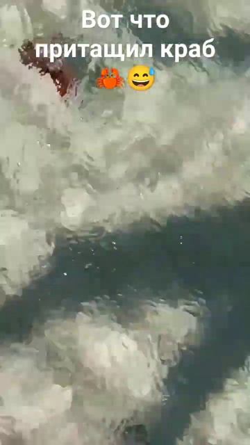 Пляж: Солнечная долина Оленевка🏄🌊🏖️ смотреть онлайн