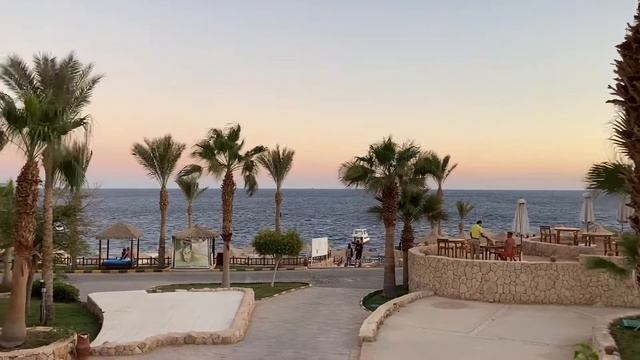Egypt. Sharm el Sheikh. Египет. Шарм эль Шейх смотреть онлайн