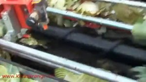 Капустоуборочный комбайн Cabbage Harvester