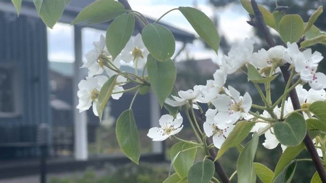 Весенний обзор.