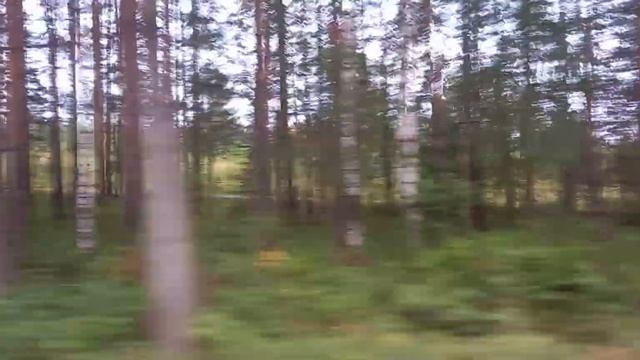 (Съёмка 1х) Сажусь в Автобус и еду до Санатория «Серебряный Меридиан» из посёлка Черемухово 🚌
