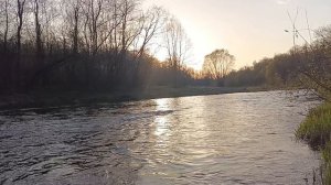 Холохольня