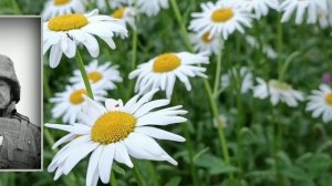 ИВАНОВСКИМ ПАРНЯМ, ПОГИБШИМ НА УКРАИНЕ...