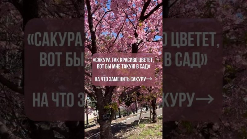 Все названия оставили в комментариях