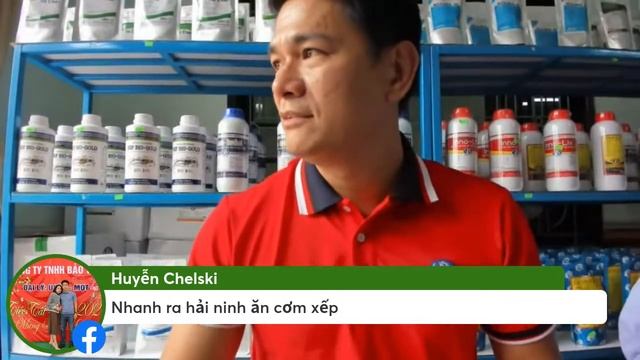 LIVESTREAM CỬA HÀNG OPS NAM QUẢNG BÌNH - HÀM NINH- QUẢNG HÀU- TRÚC LY | Trần Quang Huy Official смотреть онлайн