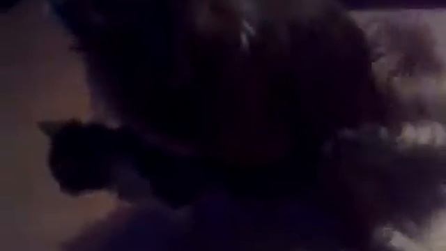 Rambo prči bobicu смотреть онлайн