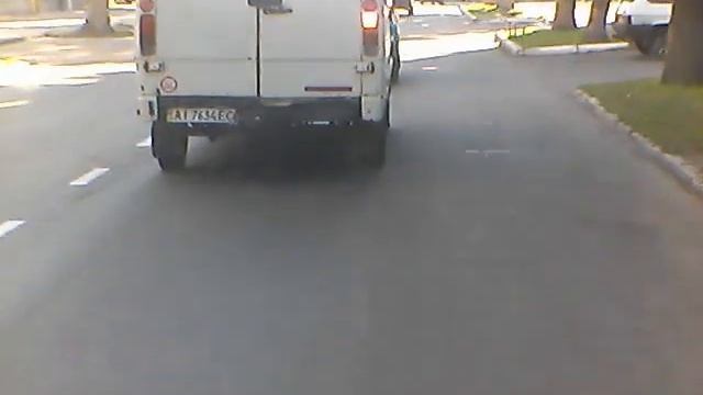 Черговий лось на дорогах Лубен 31.07.2020.