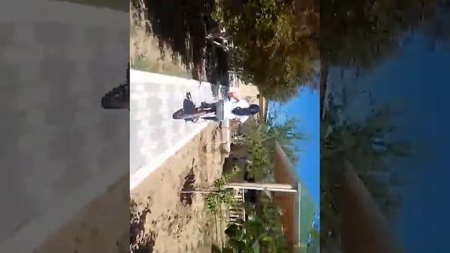 Наша дача и ее -интересы 😃 смотреть онлайн