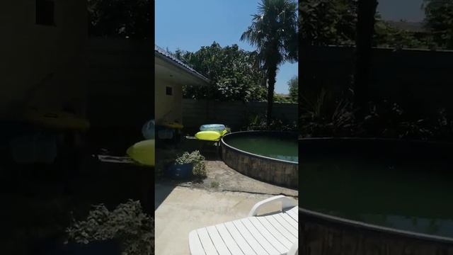 Отдых в Сочи. смотреть онлайн