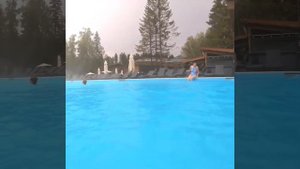 Лес Арт Резорт